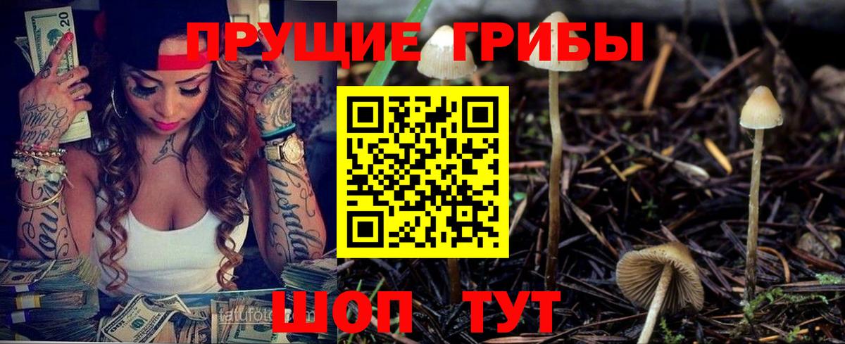 Псилоцибиновые грибы Psilocybe  дарнет шоп  Вход с VPN  Миасс  Галлюциногенные грибы мухоморы 
